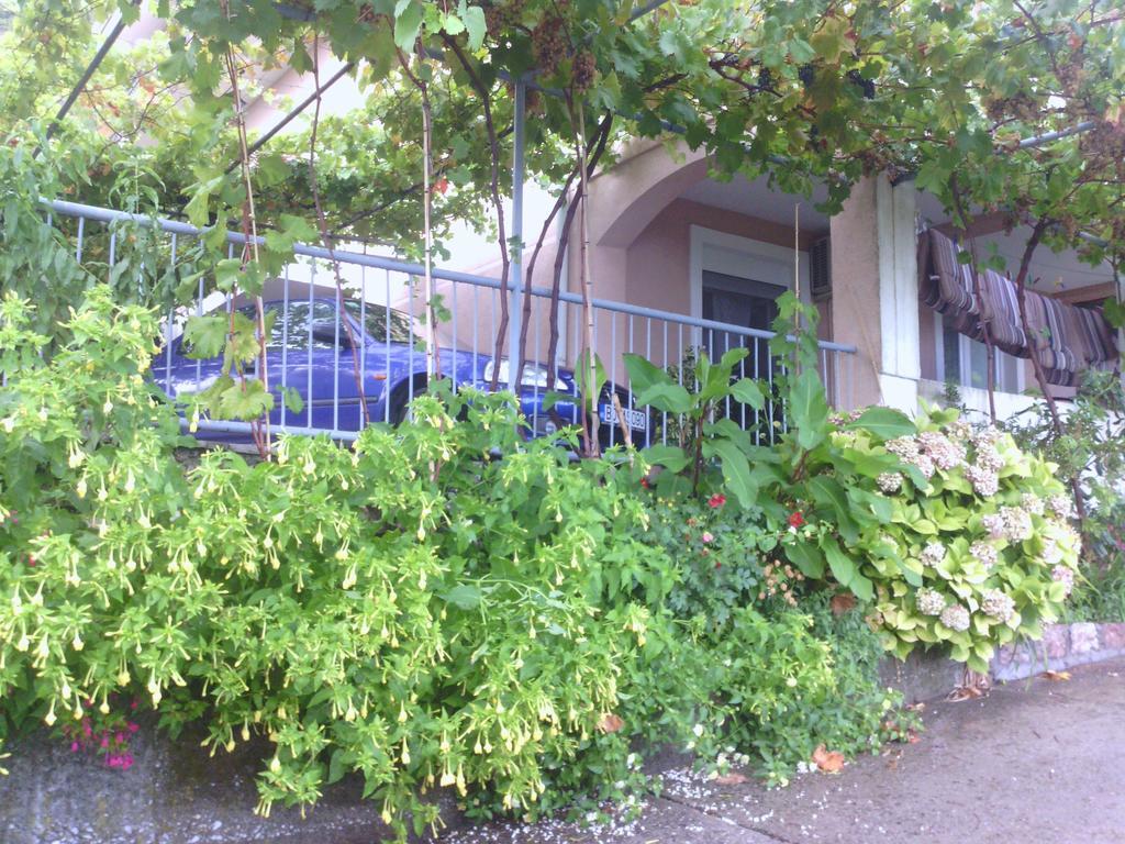 Apartments Mitrovic Podlicak スヴェティ・ステファン エクステリア 写真